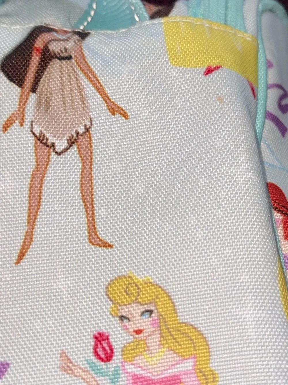Disney Princess Pottery Barn Hanging Toiletry Bag
